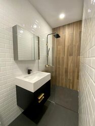 Horizon Towers (D9), Condominium #463239501